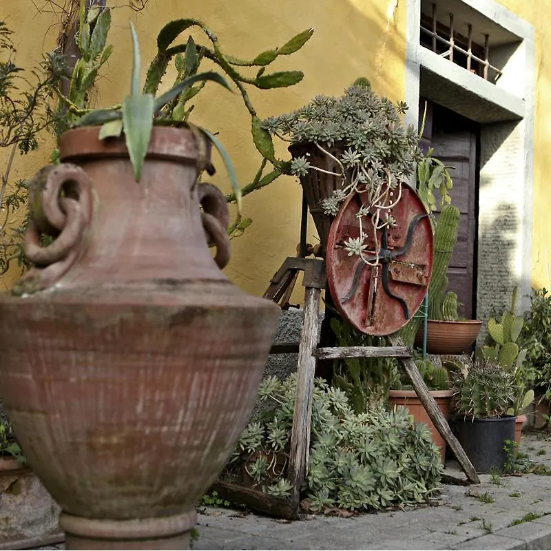 Alloggio per agriturismo Agriturismo il Poggetto Torre