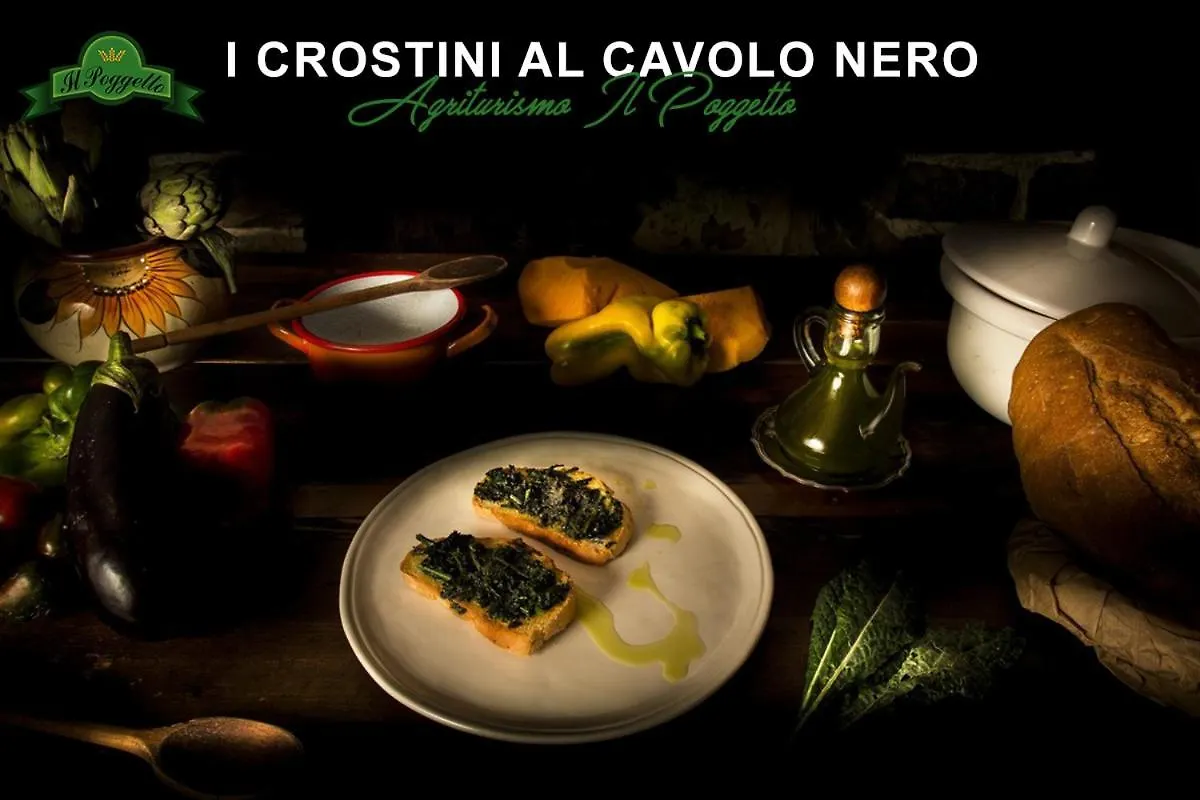 Agriturismo il Poggetto Torre Alloggio per agriturismo